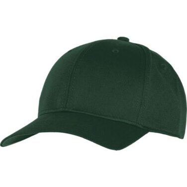 Champion Stretch Fit Hat