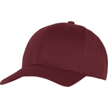 Champion Stretch Fit Hat