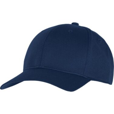 Champion Stretch Fit Hat
