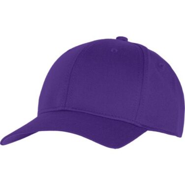 Champion Stretch Fit Hat
