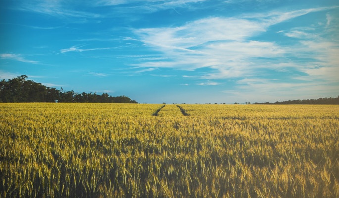 Agricultural Products